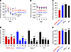 Deletion of Lrp1 in brain endothelial cells leads to cognitive deficits in