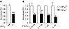 LRP1 in brain endothelial cells substantially contributes to [125I] Aβ1–42