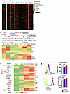 T cells undergo metabolic reprogramming in response to alloantigens after B