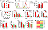 Delayed rapamycin treatment reduces GVHD through decreasing glycolytic acti