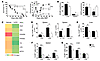 Inhibition of glycolysis by 3-PO significantly ameliorates GVHD after myelo