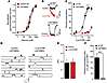 A molecular site for the actions of 2,6-DTBP on α3GlyRs.