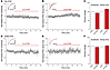 2,6-DTBP has no significant effects on evoked glycinergic and GABAergic neu