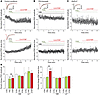 Pretreatment with PGE2 renders synaptic α3βGlyRs susceptible to modulation