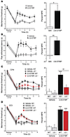 In vivo antihyperalgesic effects of 2,6-DTBP.