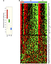 Comparison of immune markers in POLE, MSI, and MSS endometrial cancers in t