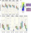 Expression of immune signatures in MSS, MSI, and POLE endometrial cancers i