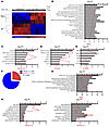 Transcriptional signature of RAC1 activity in human psoriatic skin.