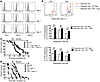 Reduced GVHD lethality in recipients of Pdl1–/– versus WT donor T cells is