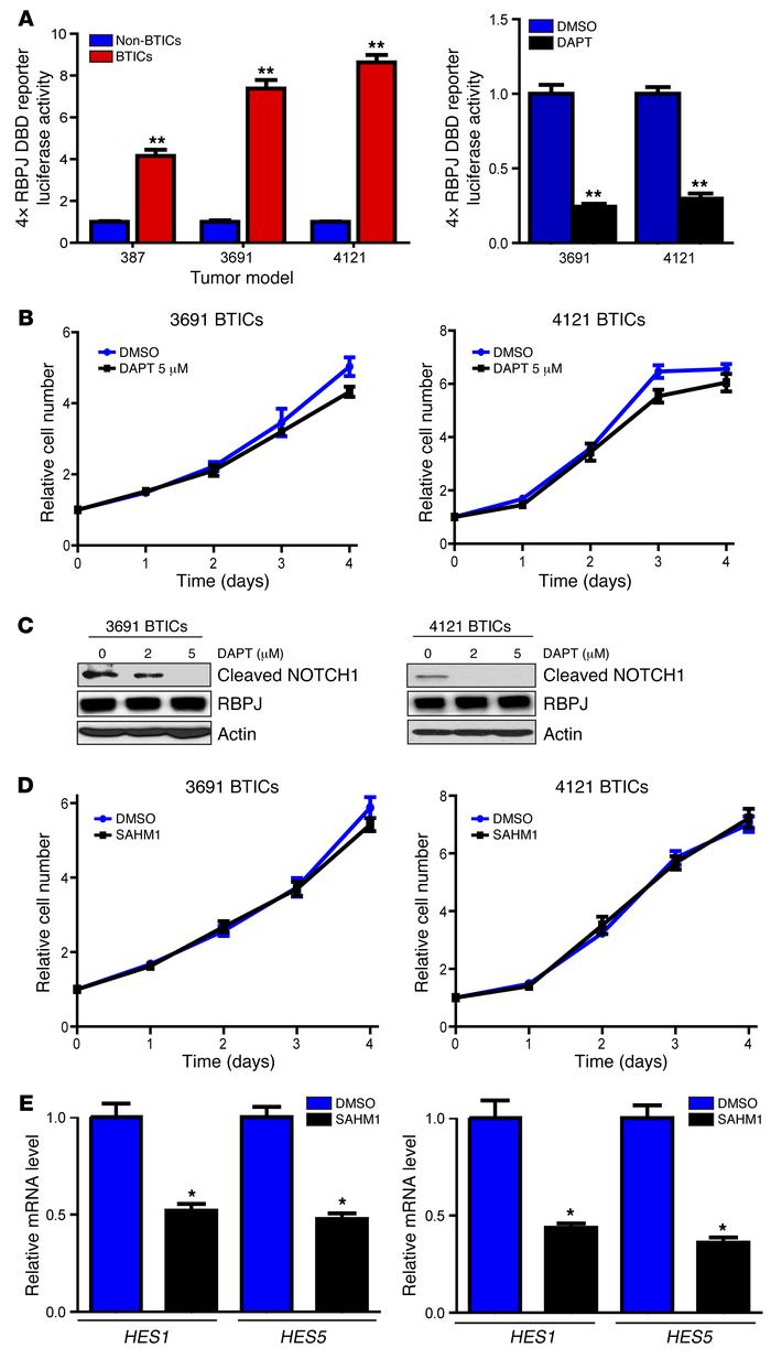 NOTCH inhibition does not attenuate cell autonomous BTIC growth.
(A) Lef...