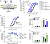 PAMs of the M1 mAChR rescue the fear-conditioning learning and memory defic