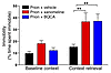 Orthosteric agonists and PAMs of the M1 mAChR are equivalently efficacious