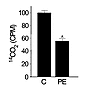 Palmitate oxidation rates decrease during cardiac myocyte hypertrophy. Show