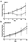 Effects of Ad.DF3-E1 on growth of MCF-7 and MDA-MB-231 tumor xenografts in