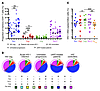 HIV-1 DNA levels in highly purified populations of functionally polarized m