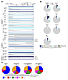 Near-full-length single-template amplification of HIV-1 DNA in CD4+ Th cell