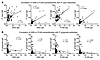 Autoantibody correlations with P. copri and P. gingivalis antibodies.