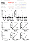 Sequence homology between self- and microbial peptides.