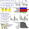 Modulation of colonic immune responses by HBMF preterm infants’ microbiota.