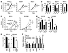 KDM6B as a downstream CSL target counteracting its growth-enhancing modulat