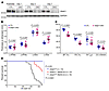 Perinatal ablation of Ubqln1 in cardiomyocytes causes late-onset cardiomyop