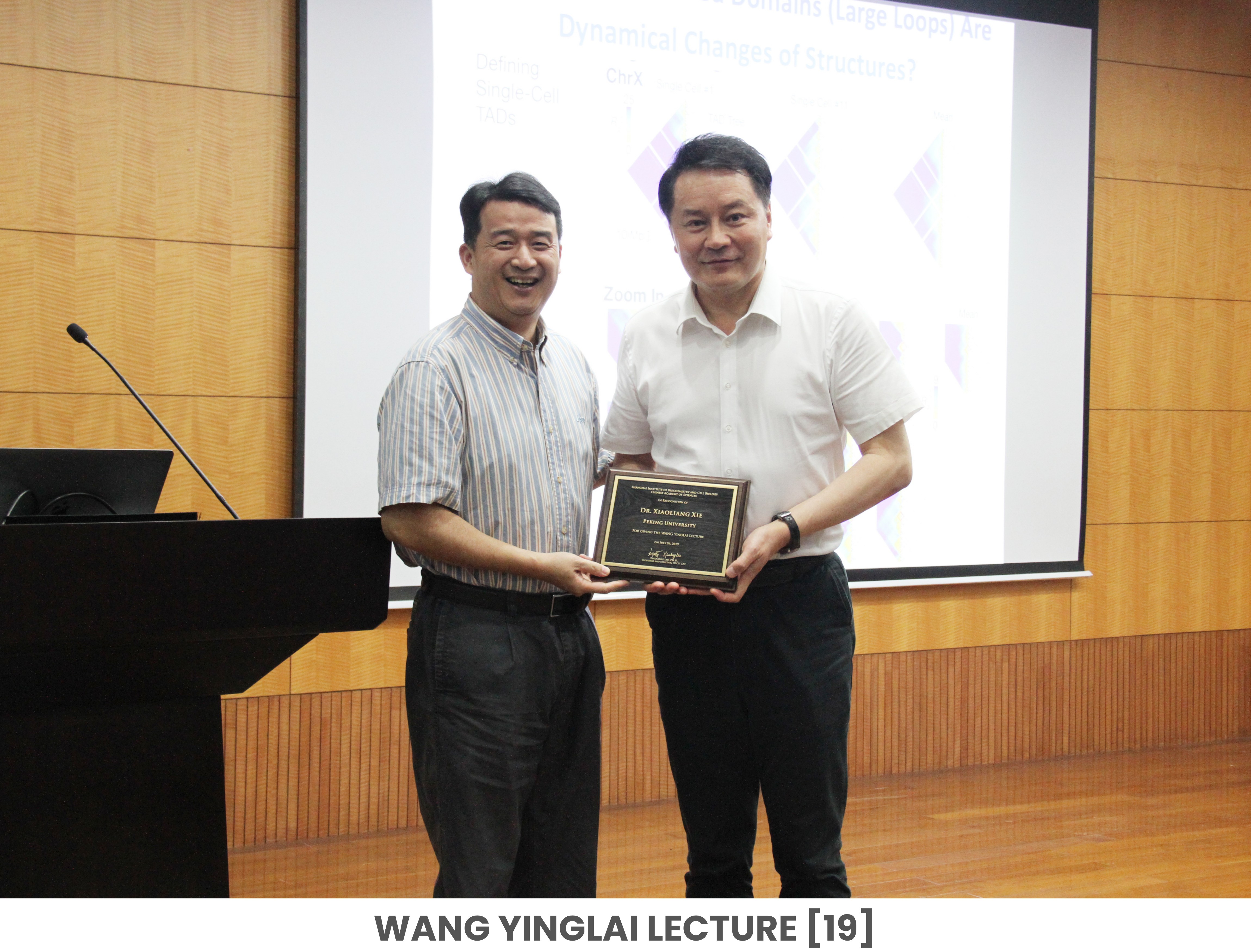 WANG YINGLAI LECTURE [19]