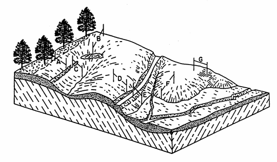 Topography