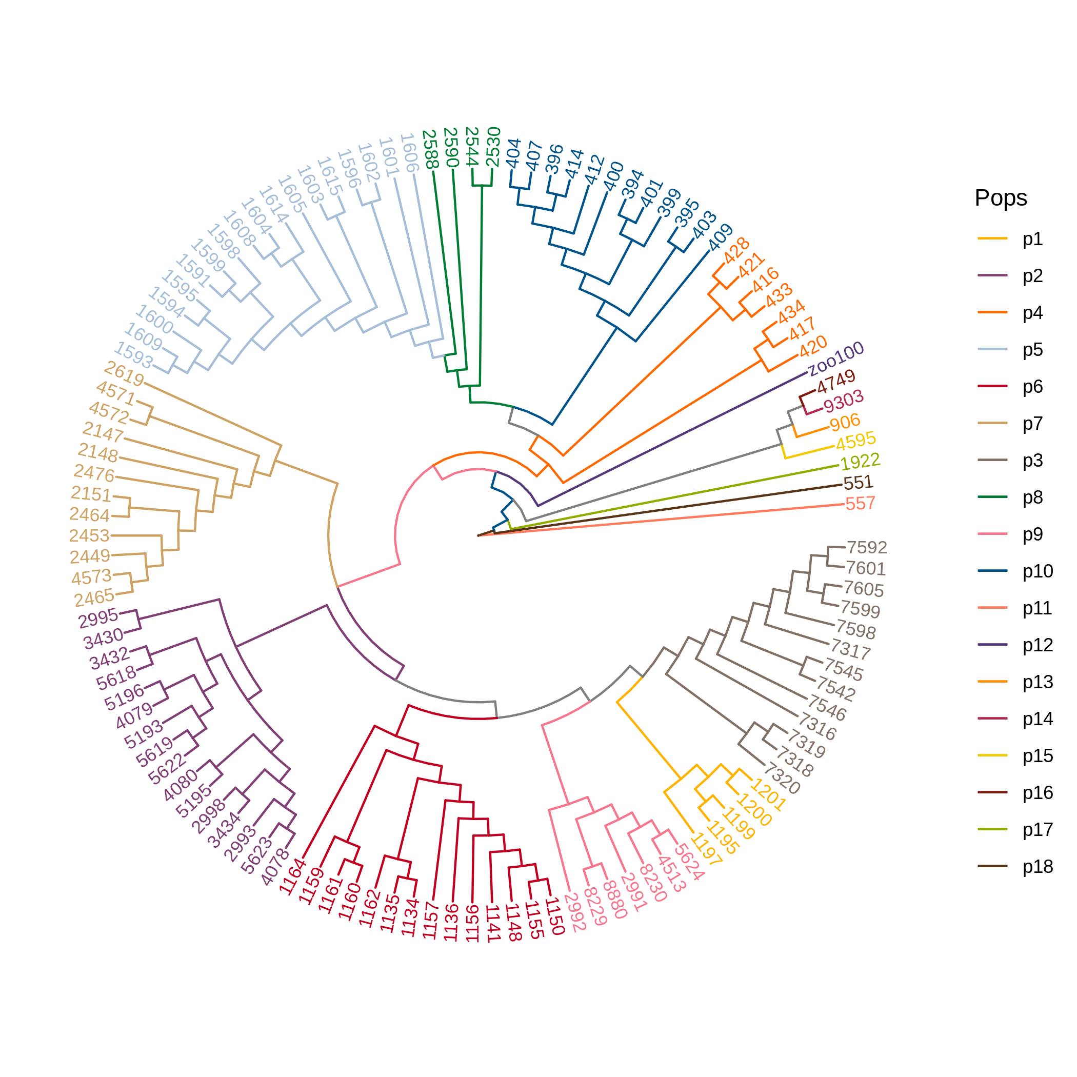 image/njtree-circular.png