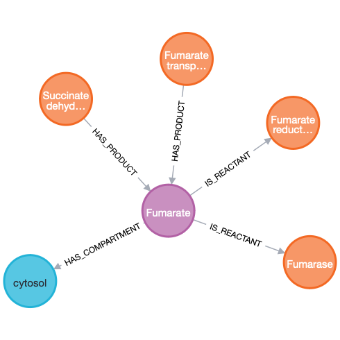 schema