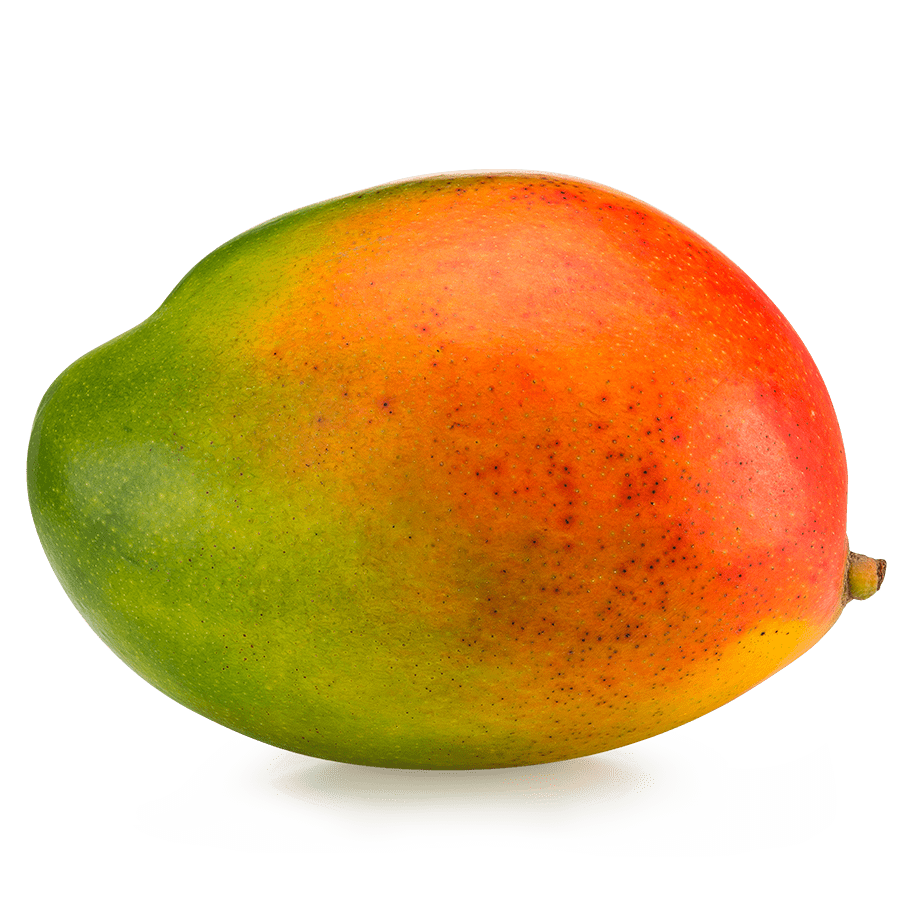 Mango Logo