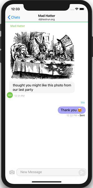 Screenshot Chat View