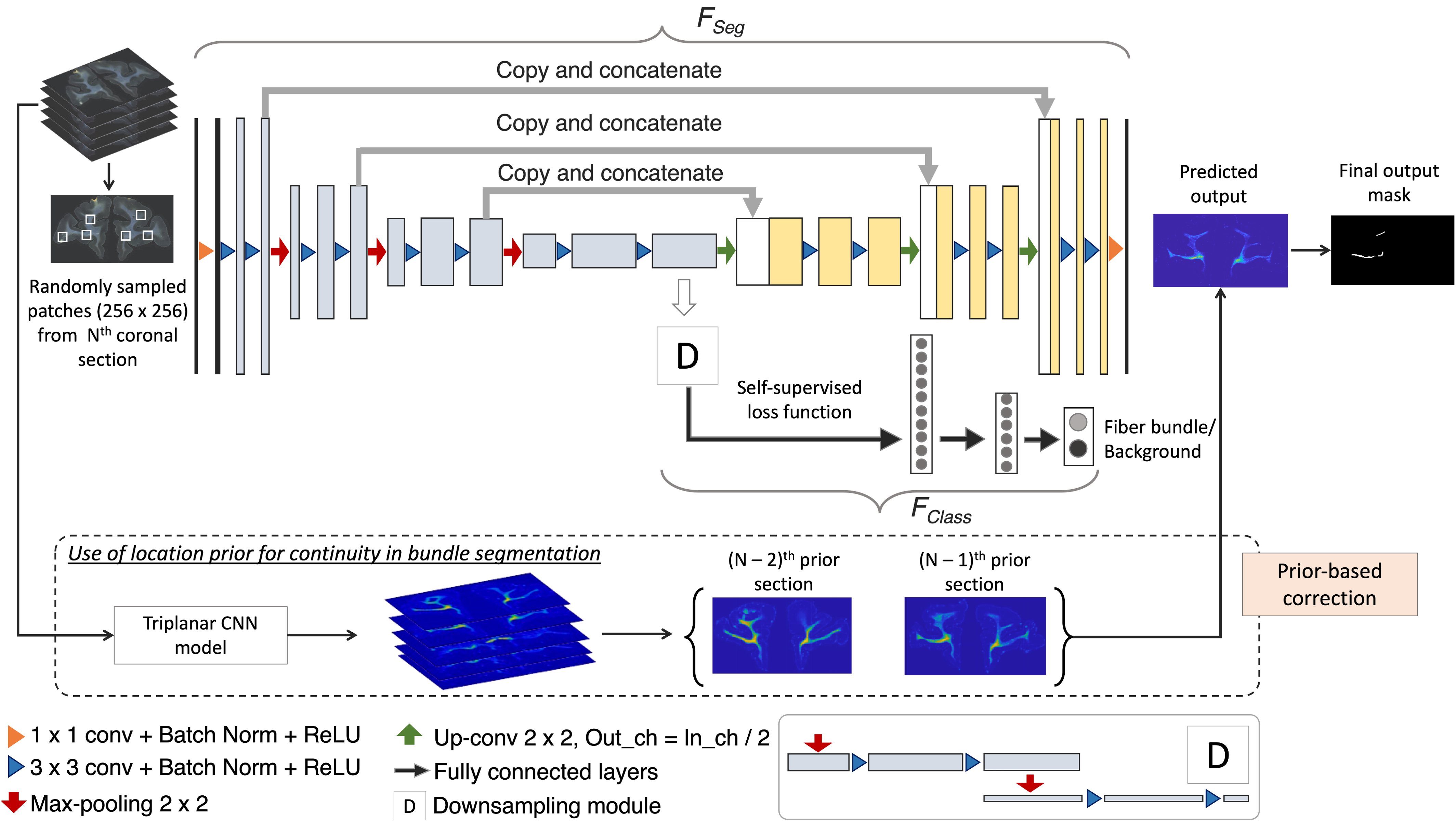 Network architecture used for fiber segmentation.