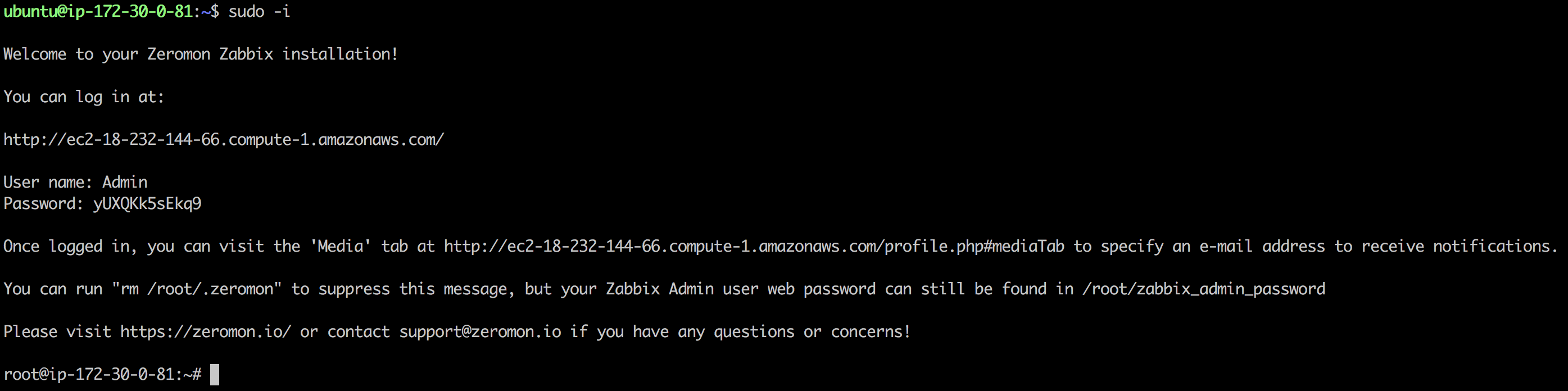 Zabbix Web Interface Instructions Example