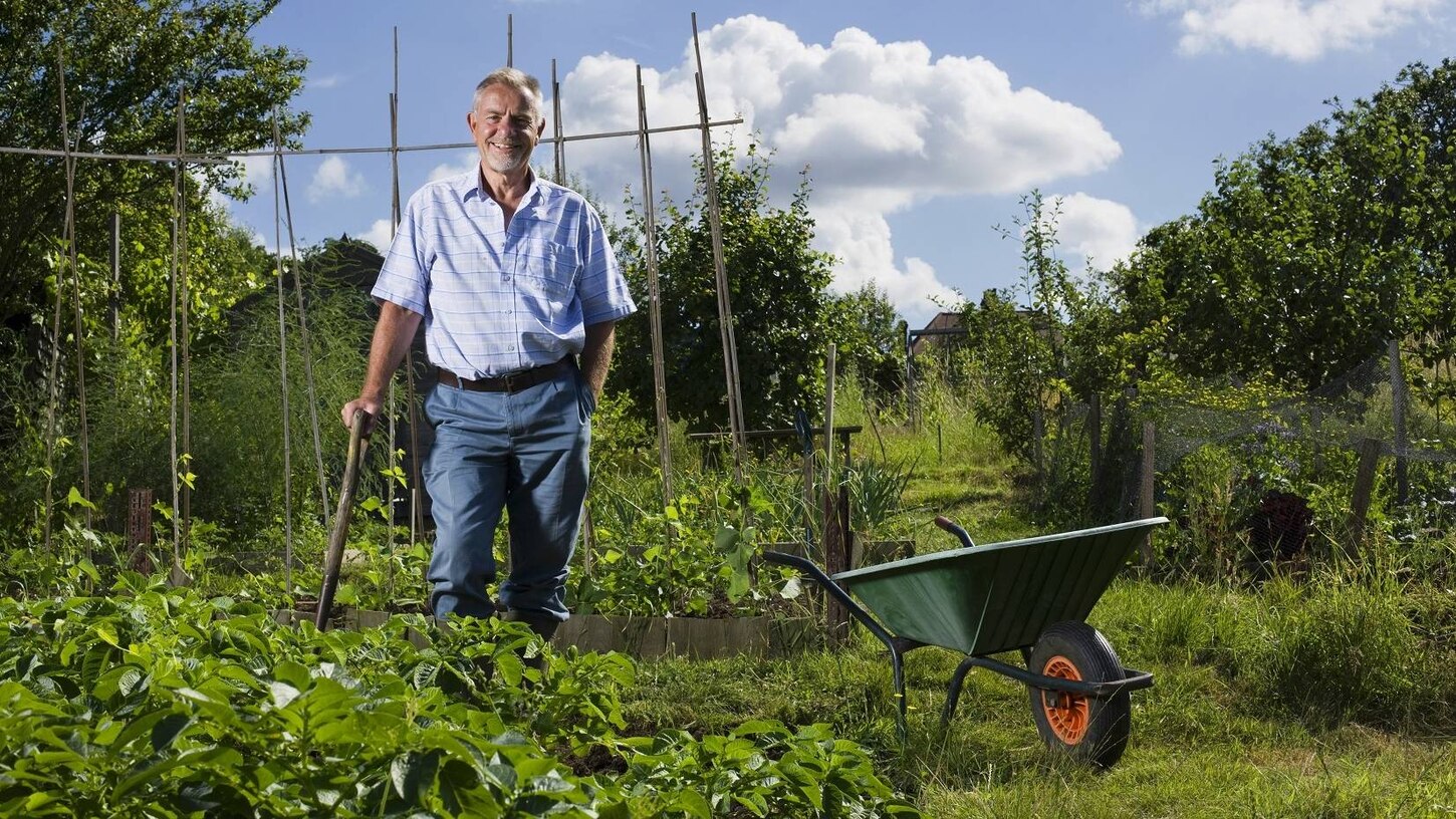 Garten-Podcast, Symbolbild: Ein Mann steht in einem Gemüsegarten, daneben eine Schubkarre