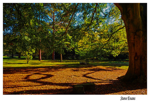 Calderstones Park | by coulportste