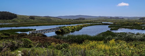 Pescadero Marsh Natural Preserve, California | by davidcmc58