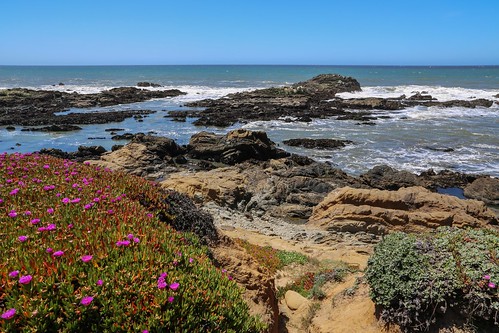 Rocky Shores of Bean Hollow Beach Area, California | by davidcmc58