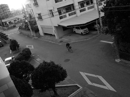 100_0035 | by www.jaaphotography.com (Okinawa)