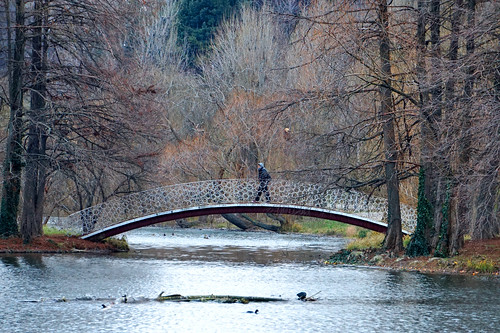 Tineretului Park | by Dumby