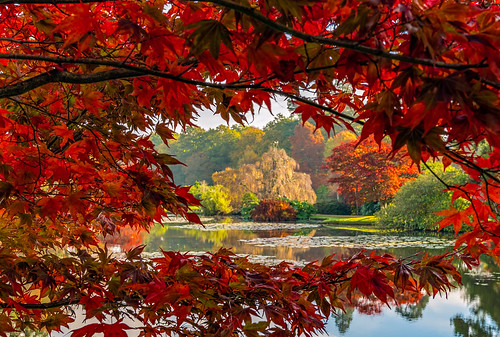 Sheffield Park Autumn | by Anthony White