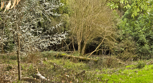 Early Spring Panorama | by CALandscapeArt natura artis magistra