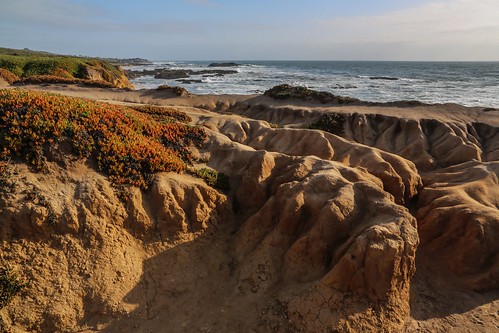 Eroded Shores of Pescadero Beach, California | by davidcmc58