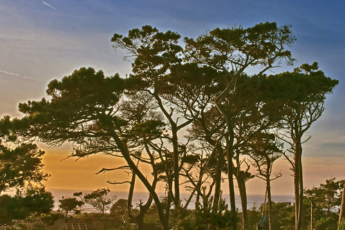 Monterey Sunset | by CALandscapeArt natura artis magistra