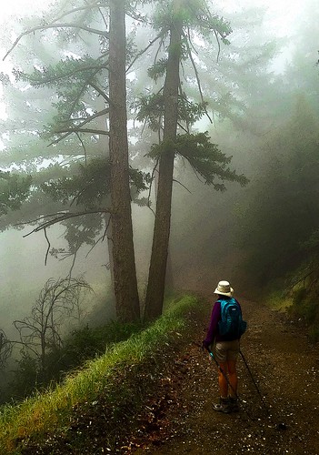 Fog on the Sunset Peak Trail - San Gabriel Mountains National Monument | by "Master of Images"