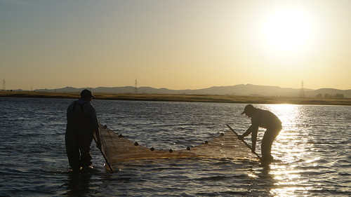 Seining in Round Pond | by CaliforniaDFW