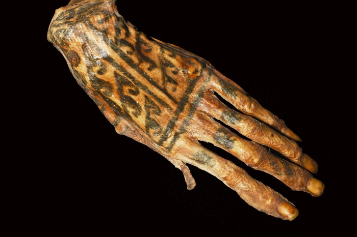 Close-up of a 1,200-year-old mummified hand featuring tattoos on a black background