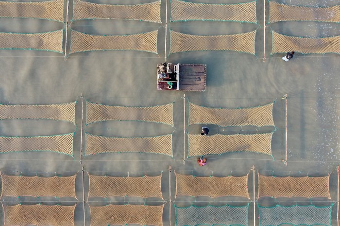 Aerial view of rectangular nets placed in a rough grid pattern. A boat passes between two rows and two people adjust one net.