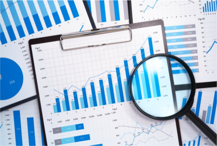 Graph charts on reports with magnifying glass.