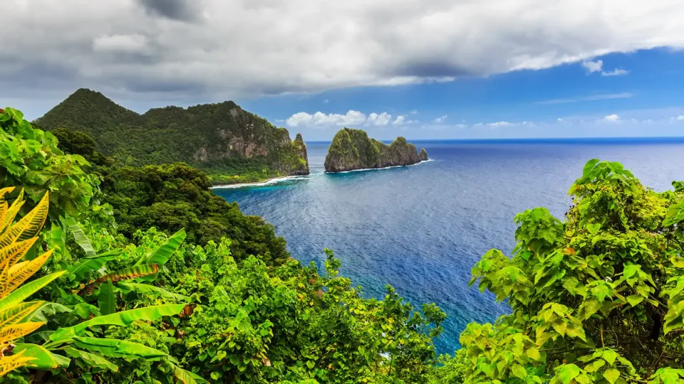 Sunny shoreline with palms, blue water and large rock features.