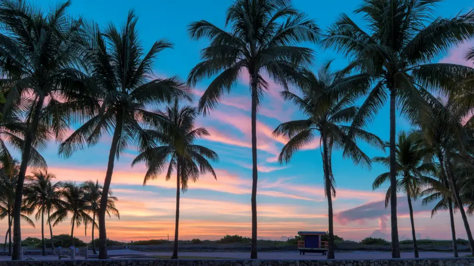 Florida beach with palms, lifeguard hut, and pink clouds at sunset